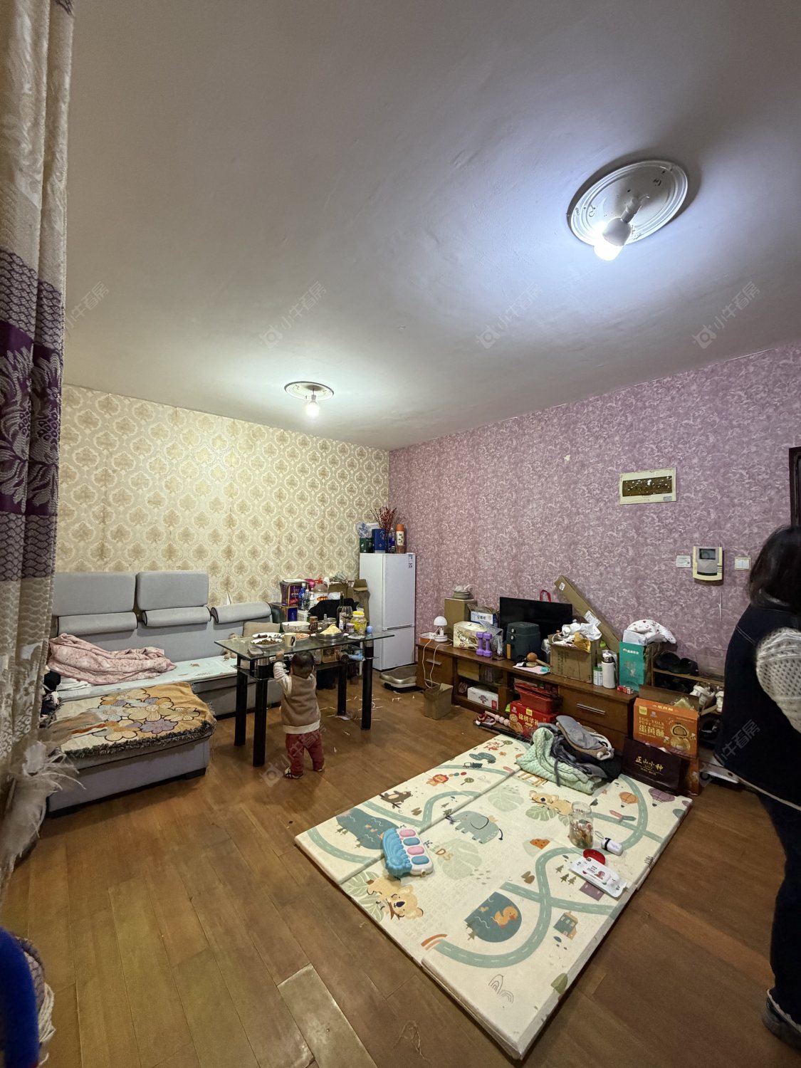 常州滨江明珠城东区在租房源_小牛看房