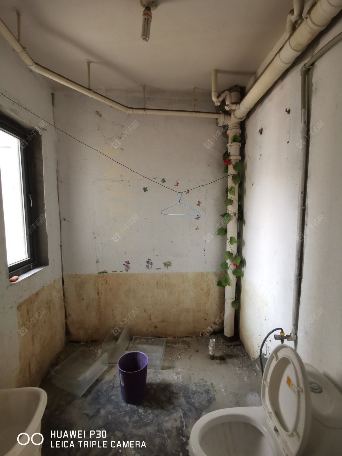 常州景秀世家在租房源_小牛看房