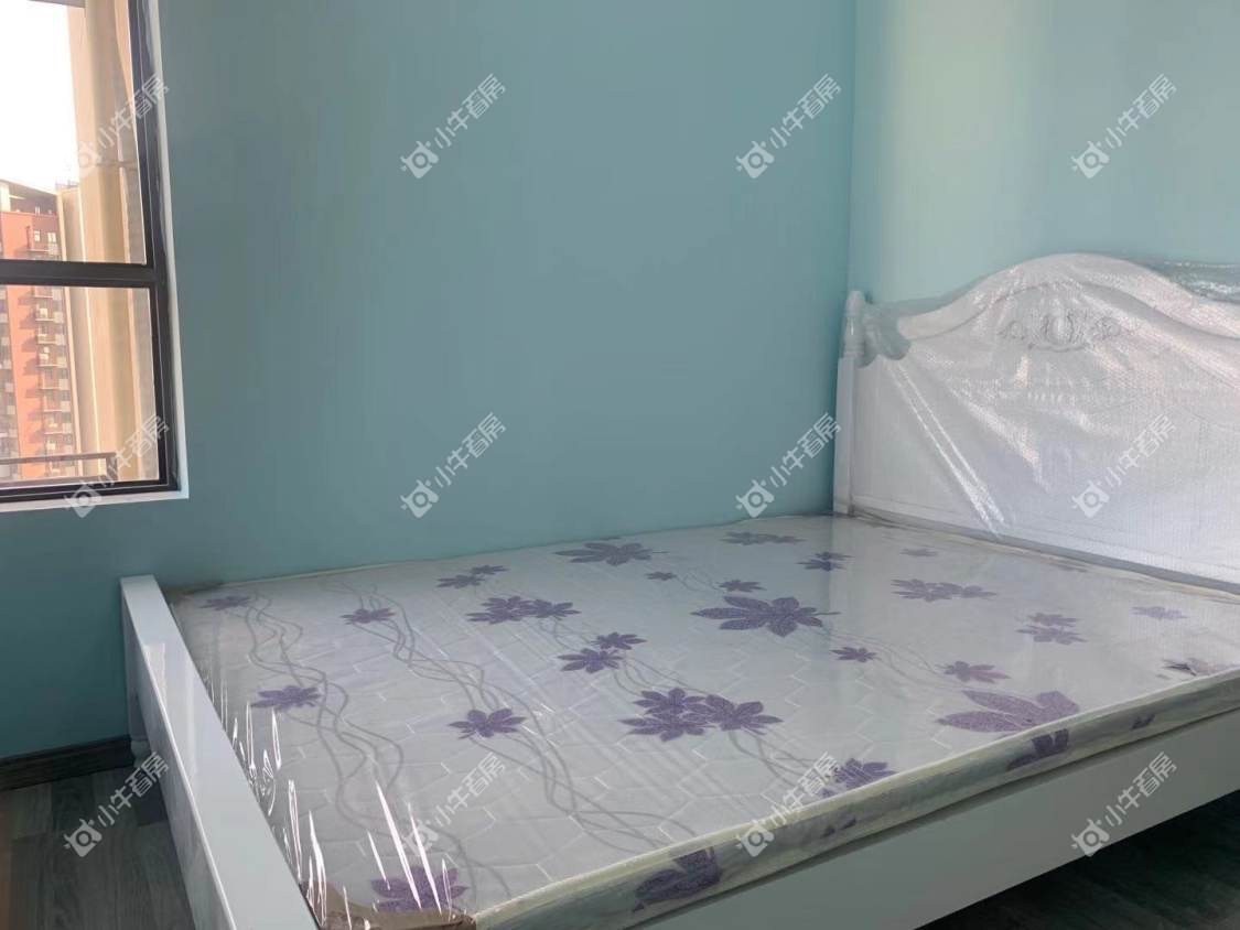 常州星河国际八区在租房源_小牛看房