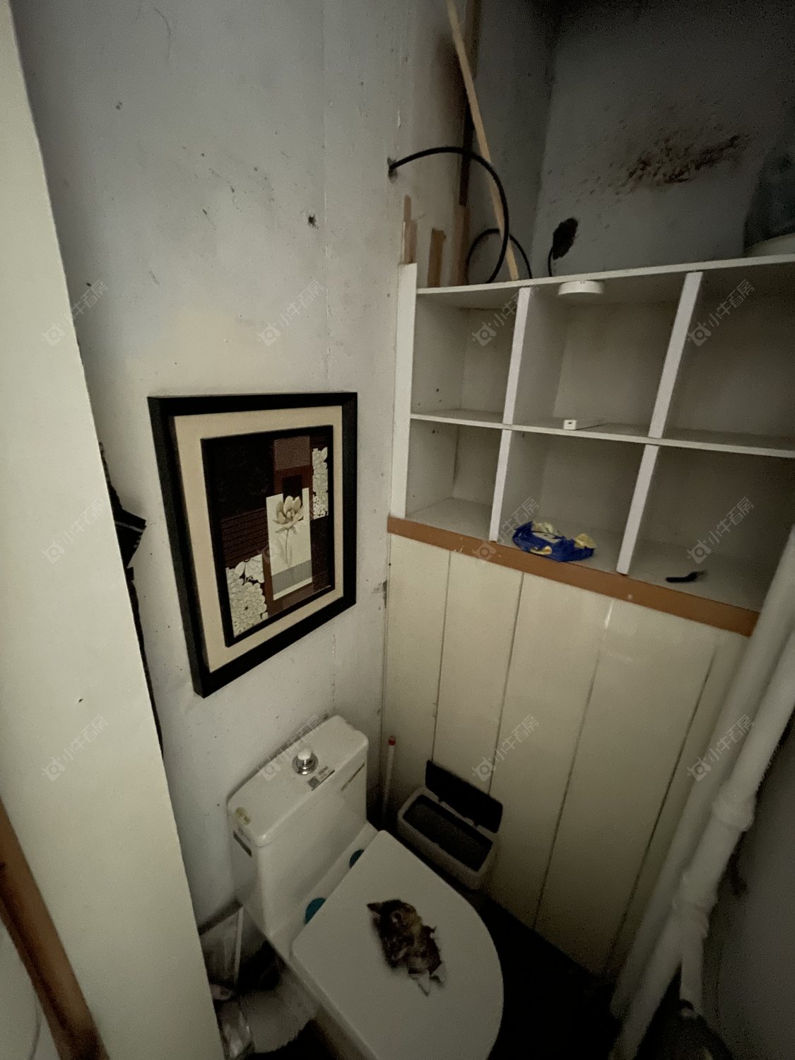 常州府琛商务广场在租房源_小牛看房