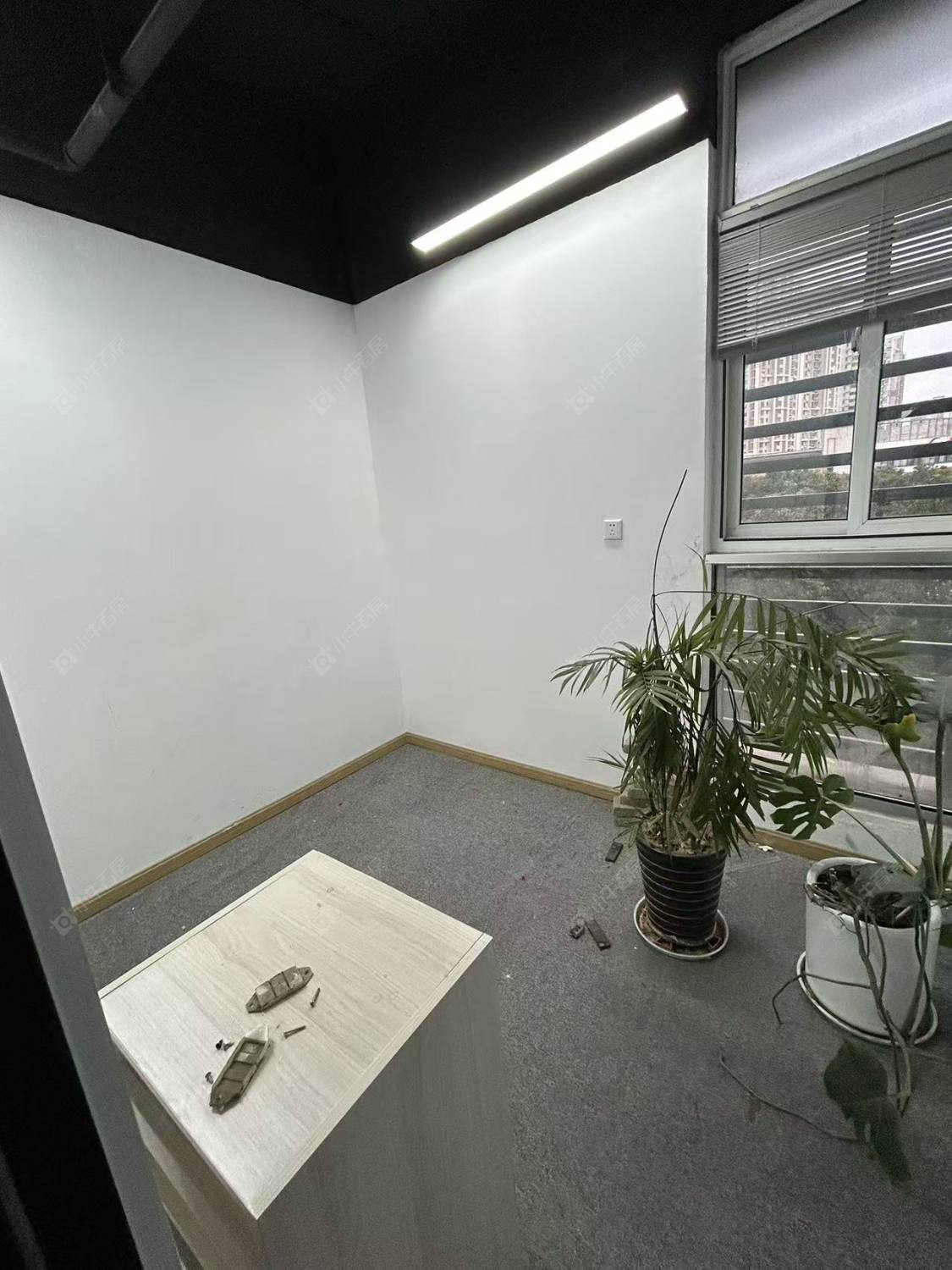 常州中意宝第在租房源_小牛看房