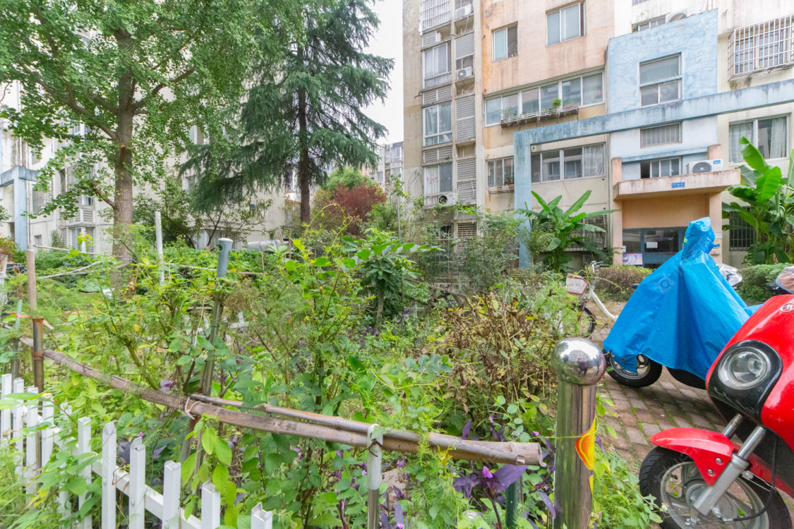 奥林匹克花园房源小区图 常州奥林匹克花园在售二手房源小区图_小牛看房