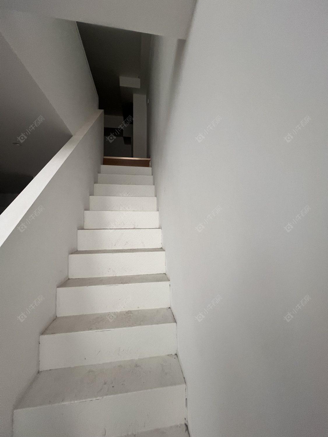 常州九洲新世界花苑在租房源_小牛看房