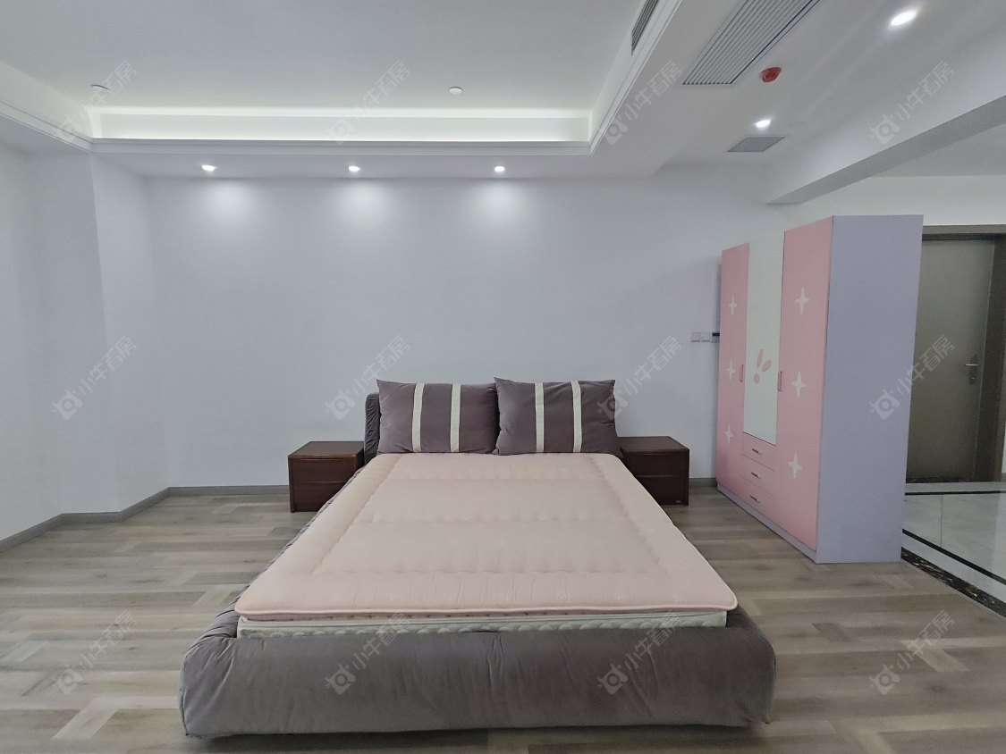 常州龙洲伊都公寓在租房源室内图_小牛看房