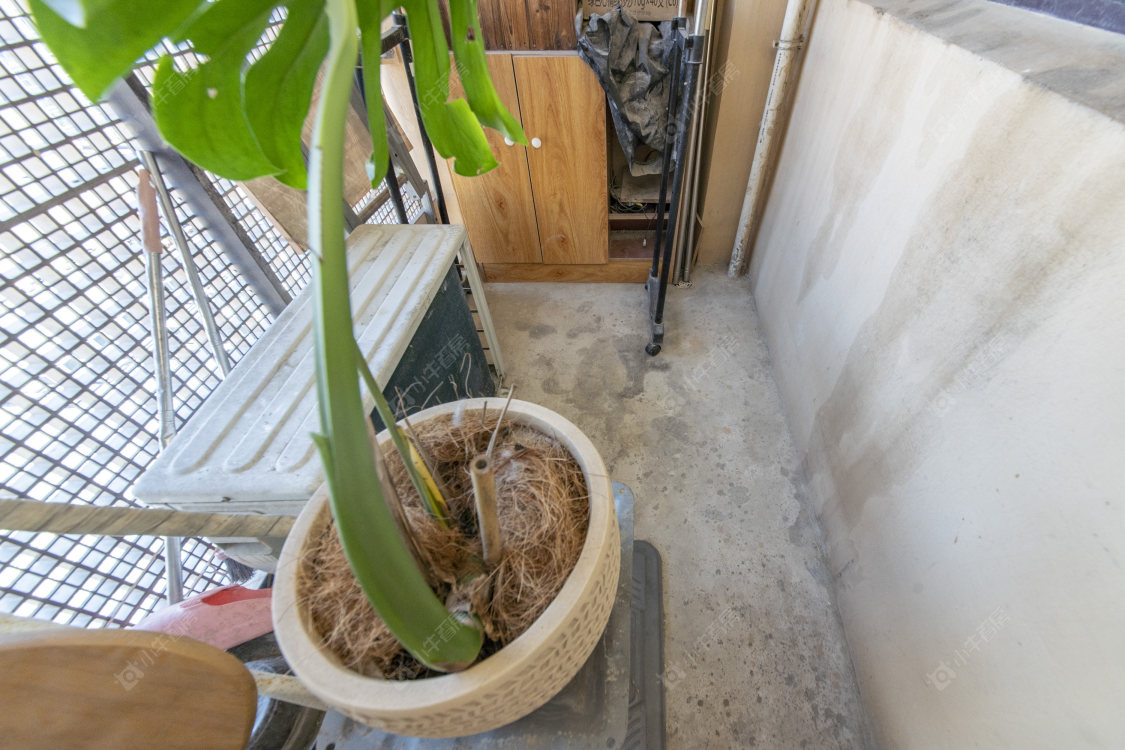 四季青服装城房源室内图 常州四季青服装城在售二手房源室内图_小牛看房