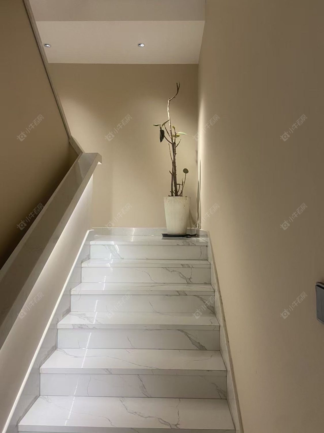 常州花园街在租房源室内图_小牛看房