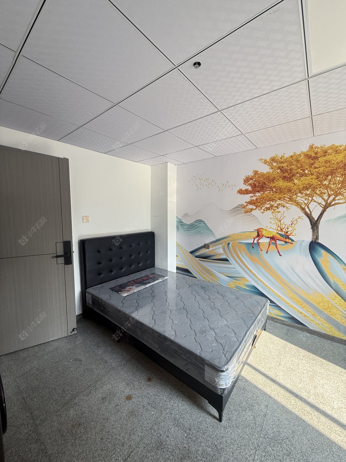 常州金成大厦在租房源_小牛看房