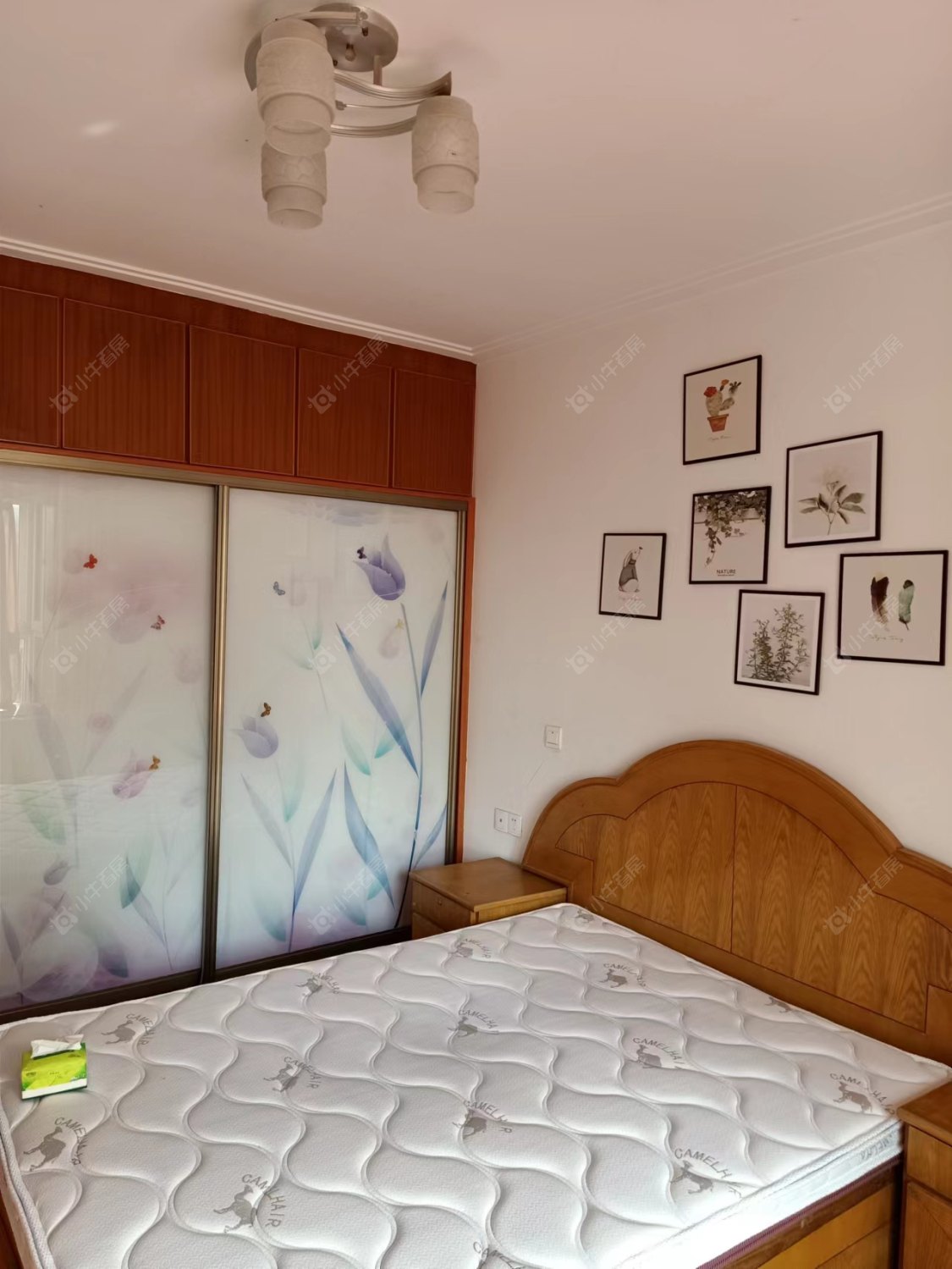 梧桐苑西区房源 常州梧桐苑西区在租房源_小牛看房