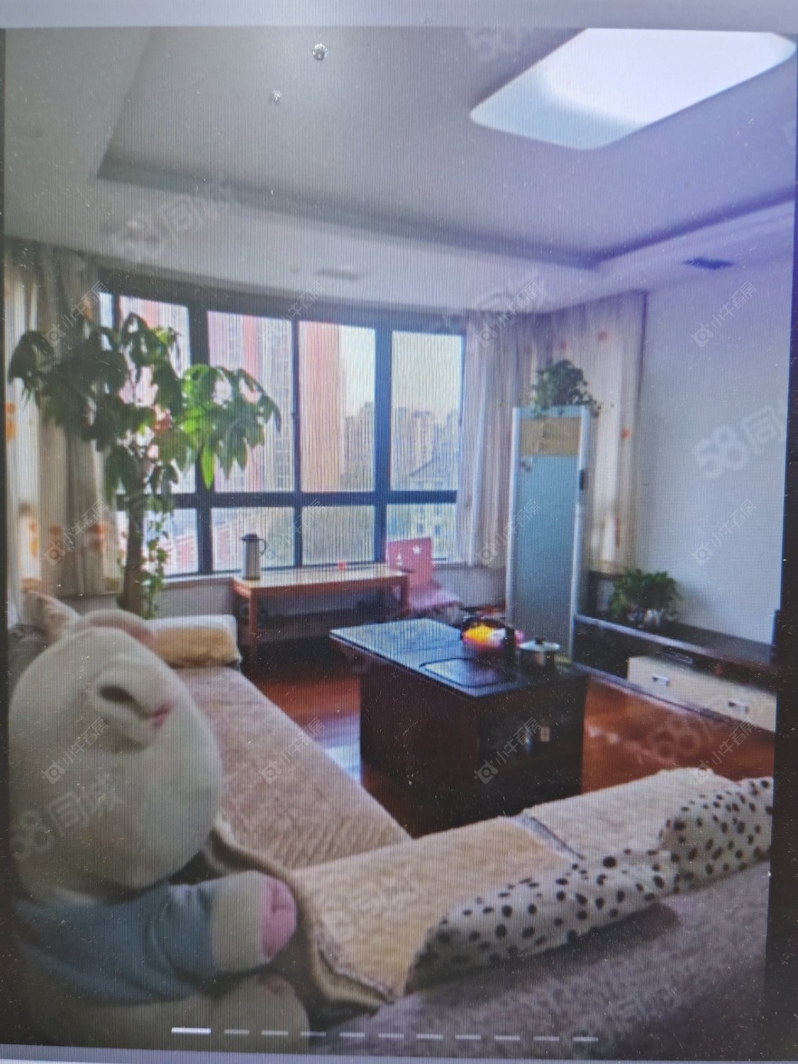 常州绿洲家园在租房源_小牛看房