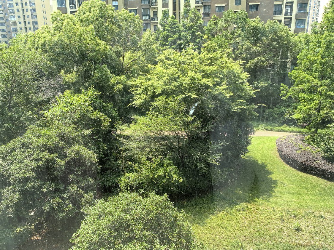 常州世茂香槟湖二期租房_世茂香槟湖二期3室2厅房源出租