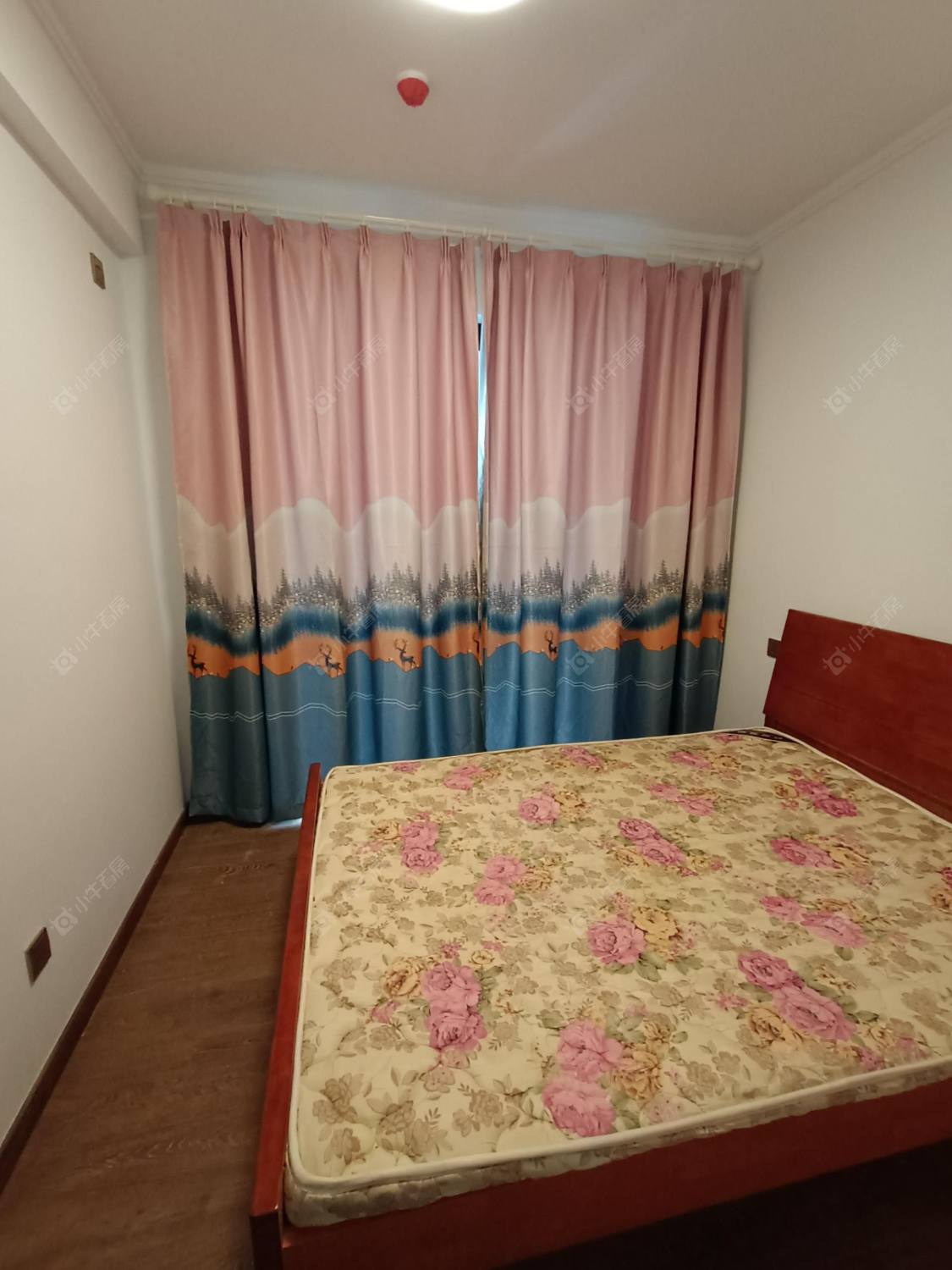 常州碧桂园碧玥和鸣在租房源室内图_小牛看房