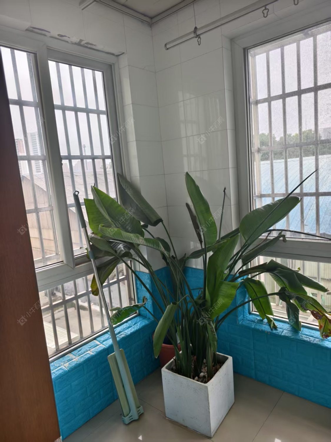 常州虹景金桂园在租房源_小牛看房