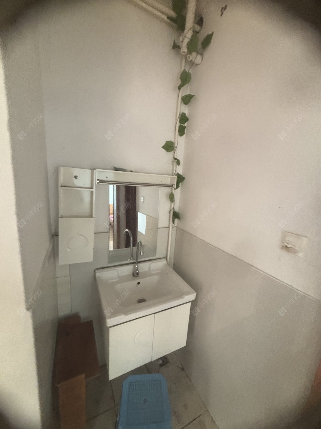 常州紫云苑在租房源_小牛看房