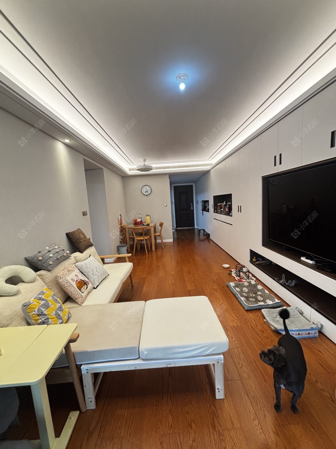 常州九洲玺在租房源室内图_小牛看房