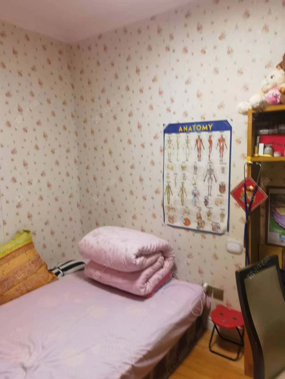 常州怡康花园在租房源室内图_小牛看房