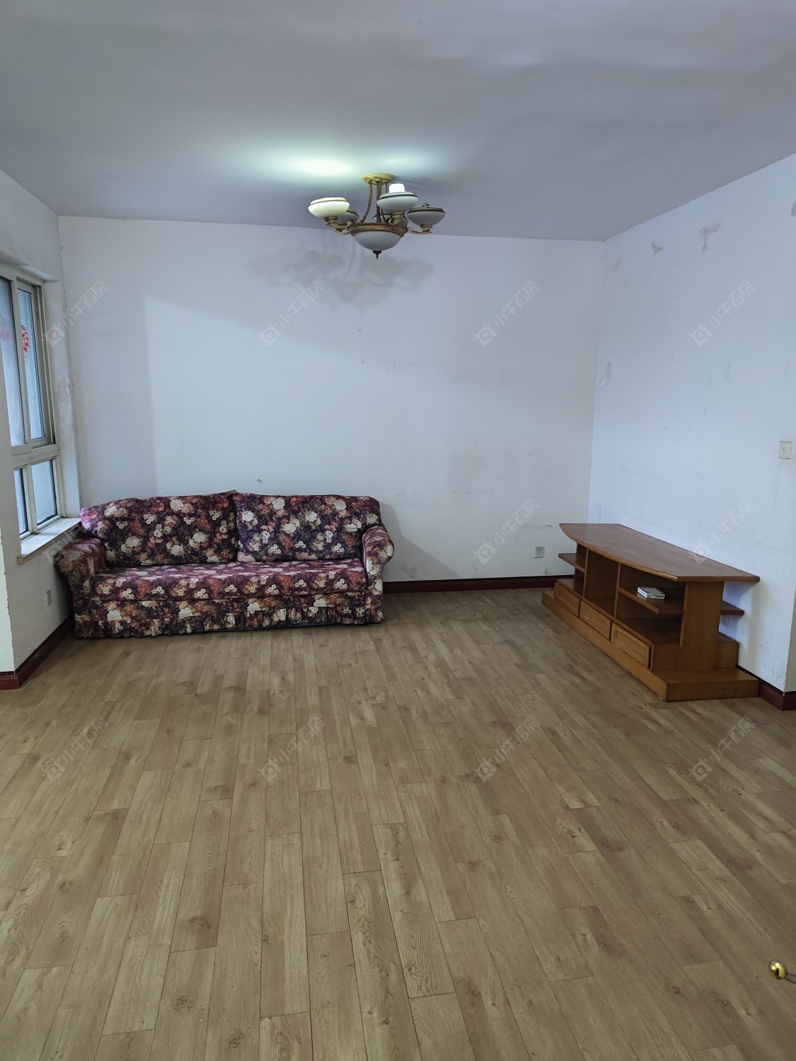 常州绿园爱舍南区在租房源_小牛看房