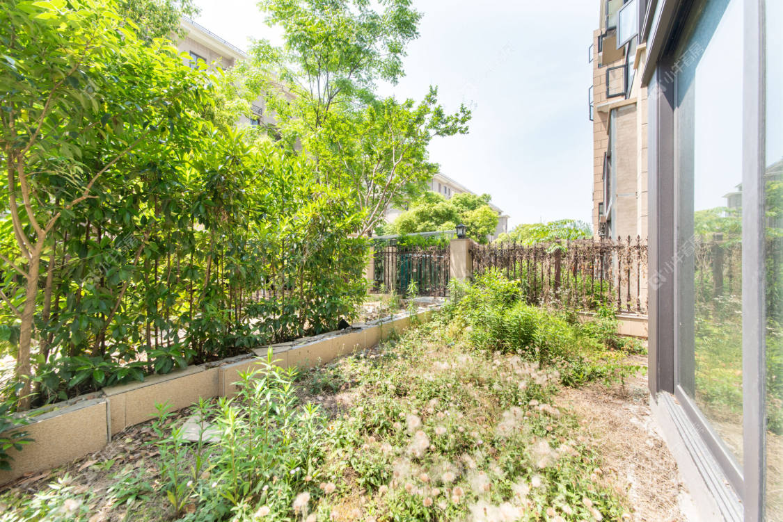 常州碧桂园浅水湾在租房源室内图_小牛看房