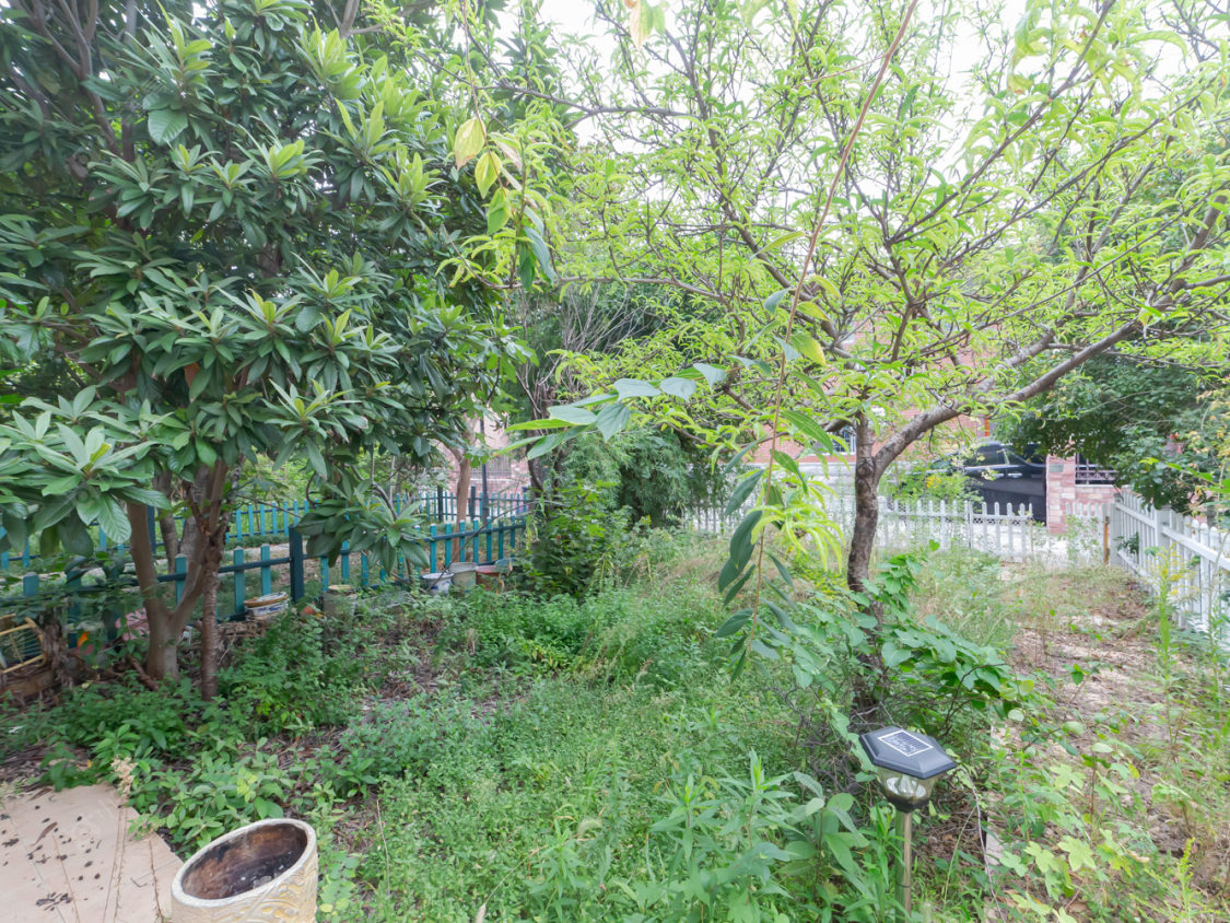 常州阳光花园(新北)别墅区在售二手房源小区图_小牛看房