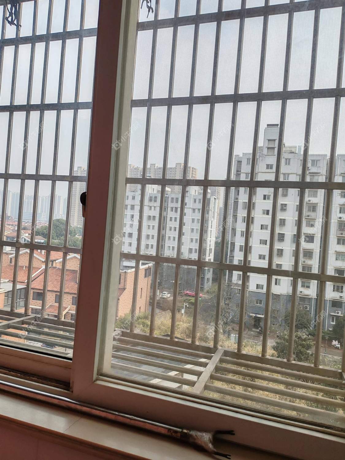 常州龙栖花园在租房源室内图_小牛看房