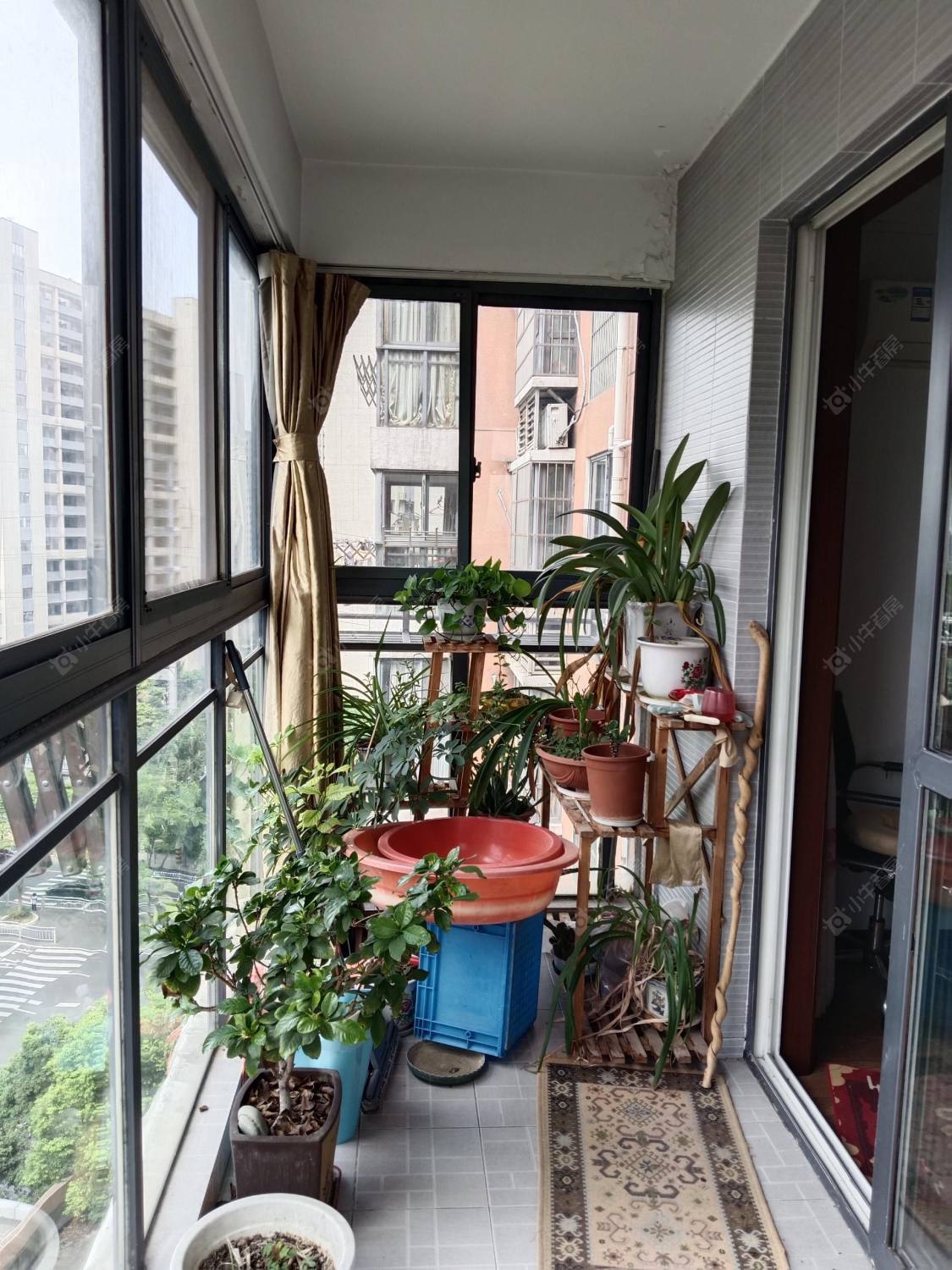常州凤凰名城租房_凤凰名城2室2厅房源出租