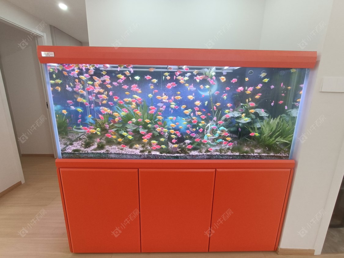 常州华盛品樾公馆租房_华盛品樾公馆4室2厅房源出租