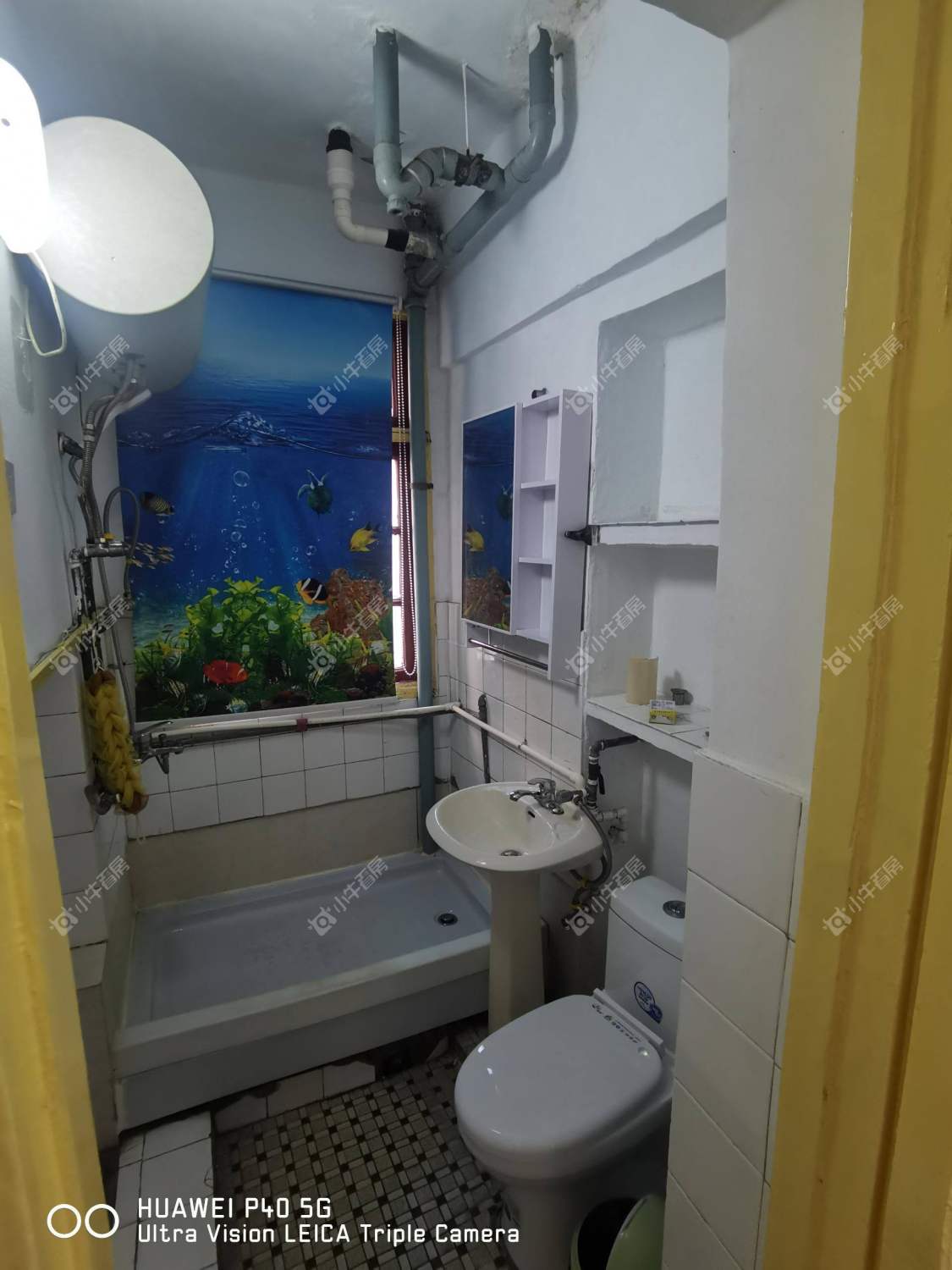 常州五角场西村在租房源_小牛看房