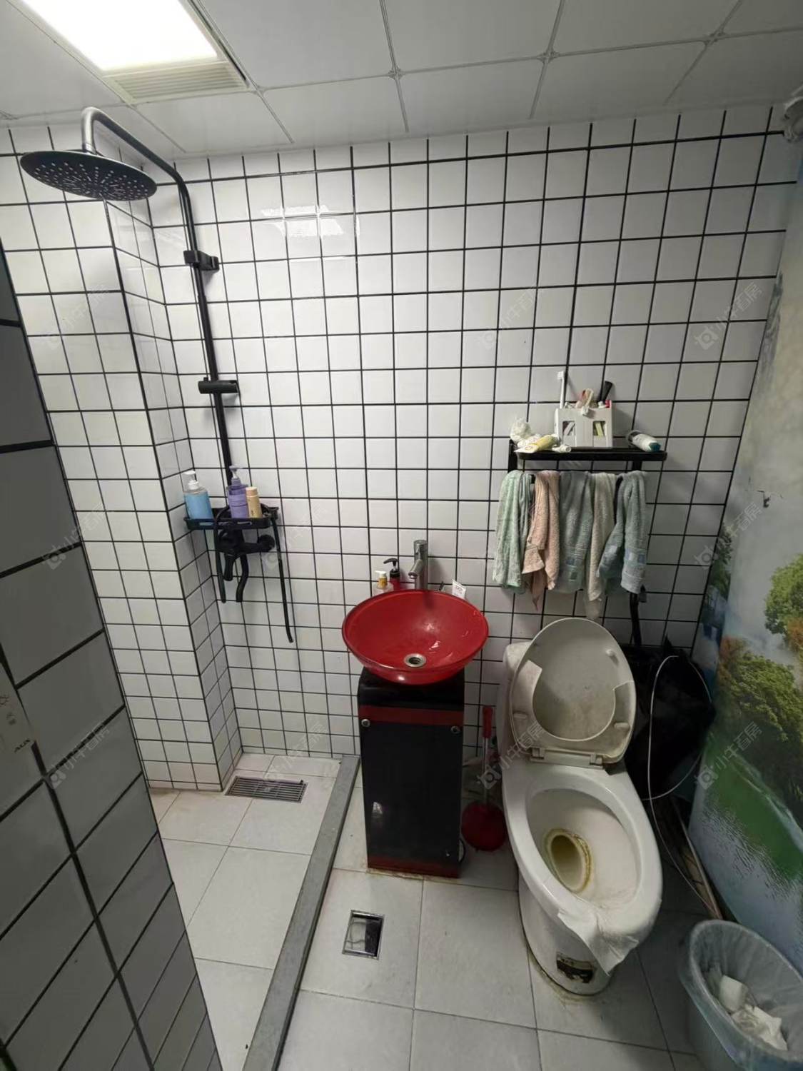 常州海伦小屋在租房源_小牛看房