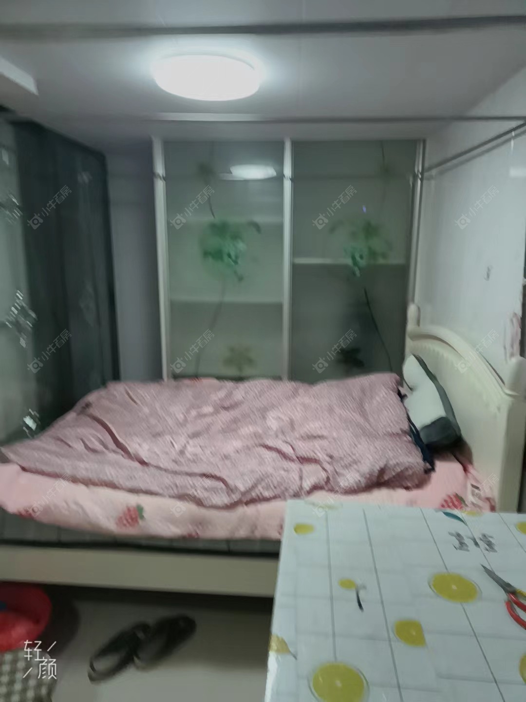 常州金江苑一村租房_金江苑一村1室1厅房源出租
