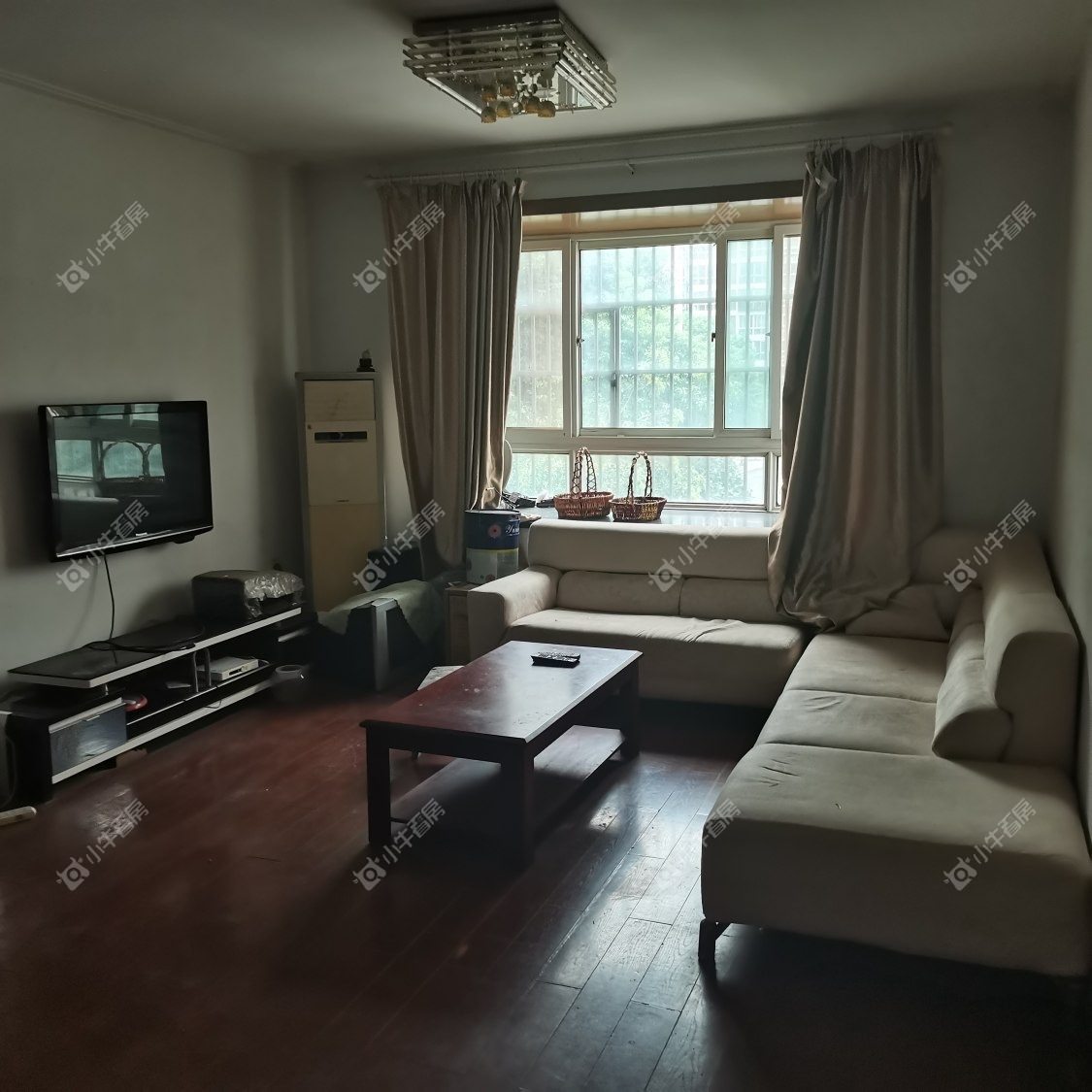 常州梧桐苑东区在租房源室内图_小牛看房