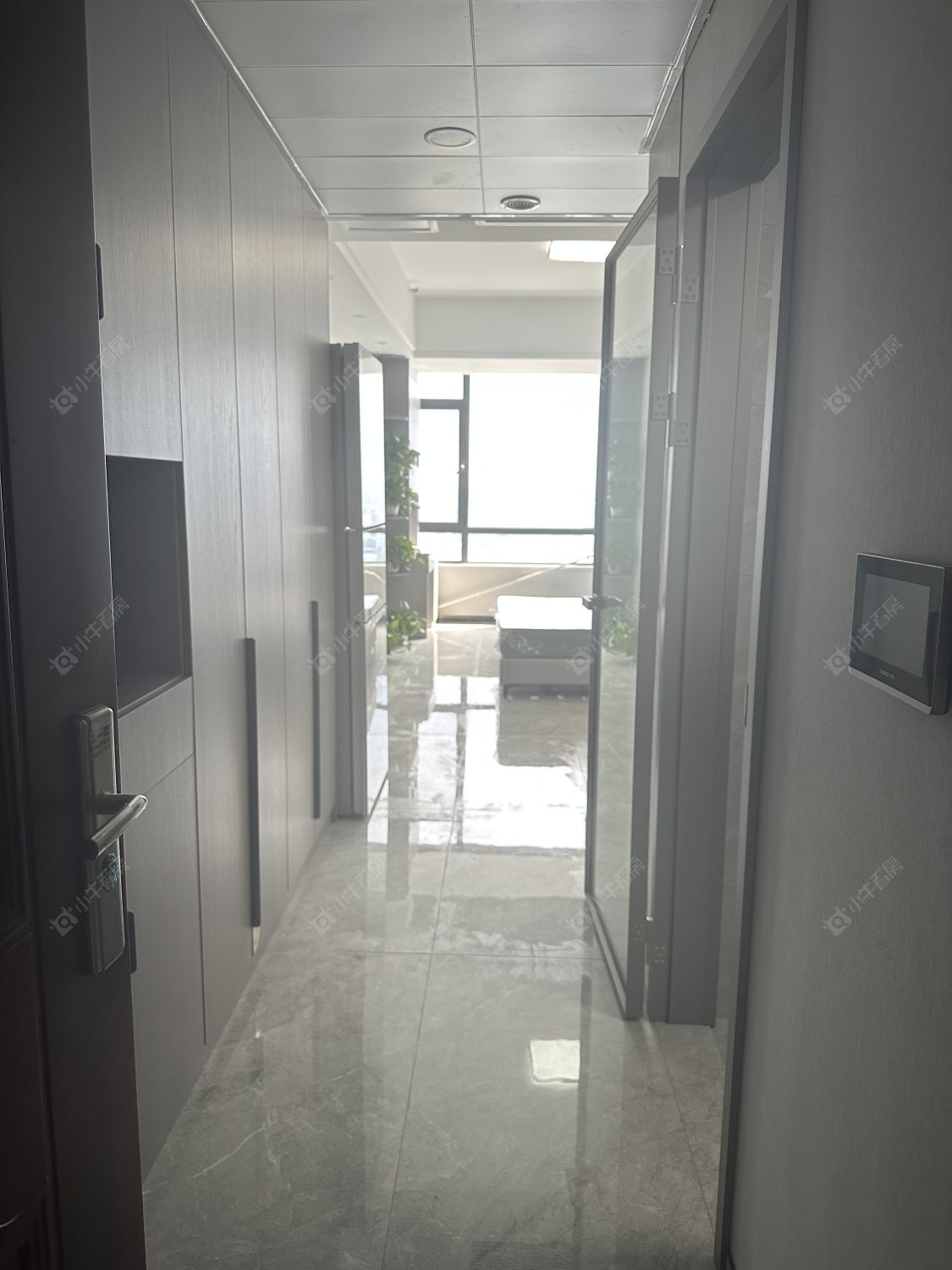 常州碧桂园壹号天禧在租房源_小牛看房