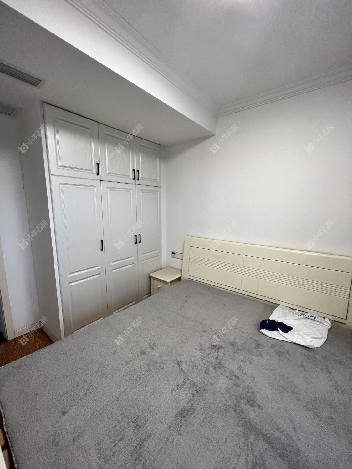 常州摩尔上品在租房源_小牛看房