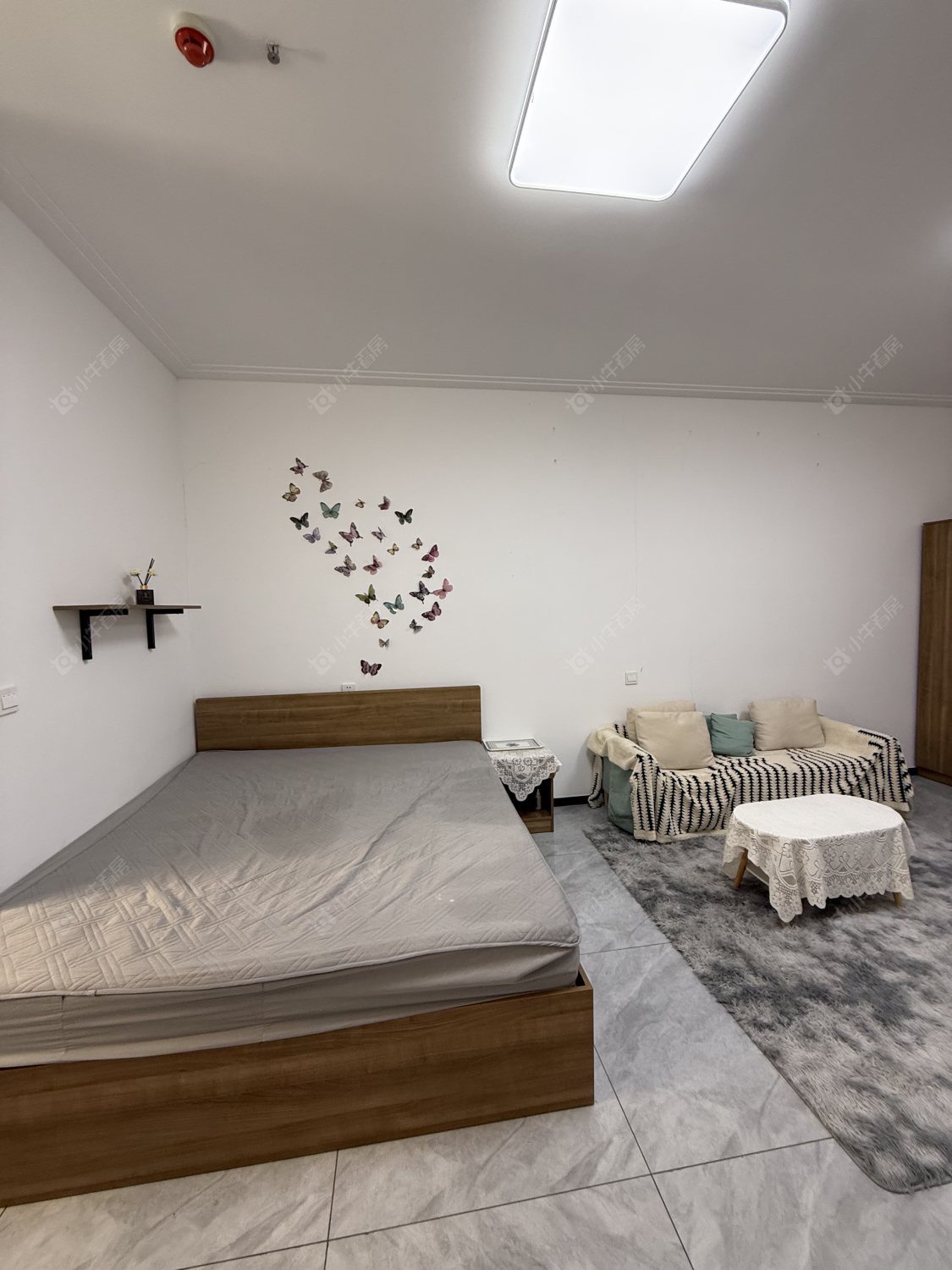 常州小牛益联花鸟市场公寓1室1厅1卫出租_小牛看房