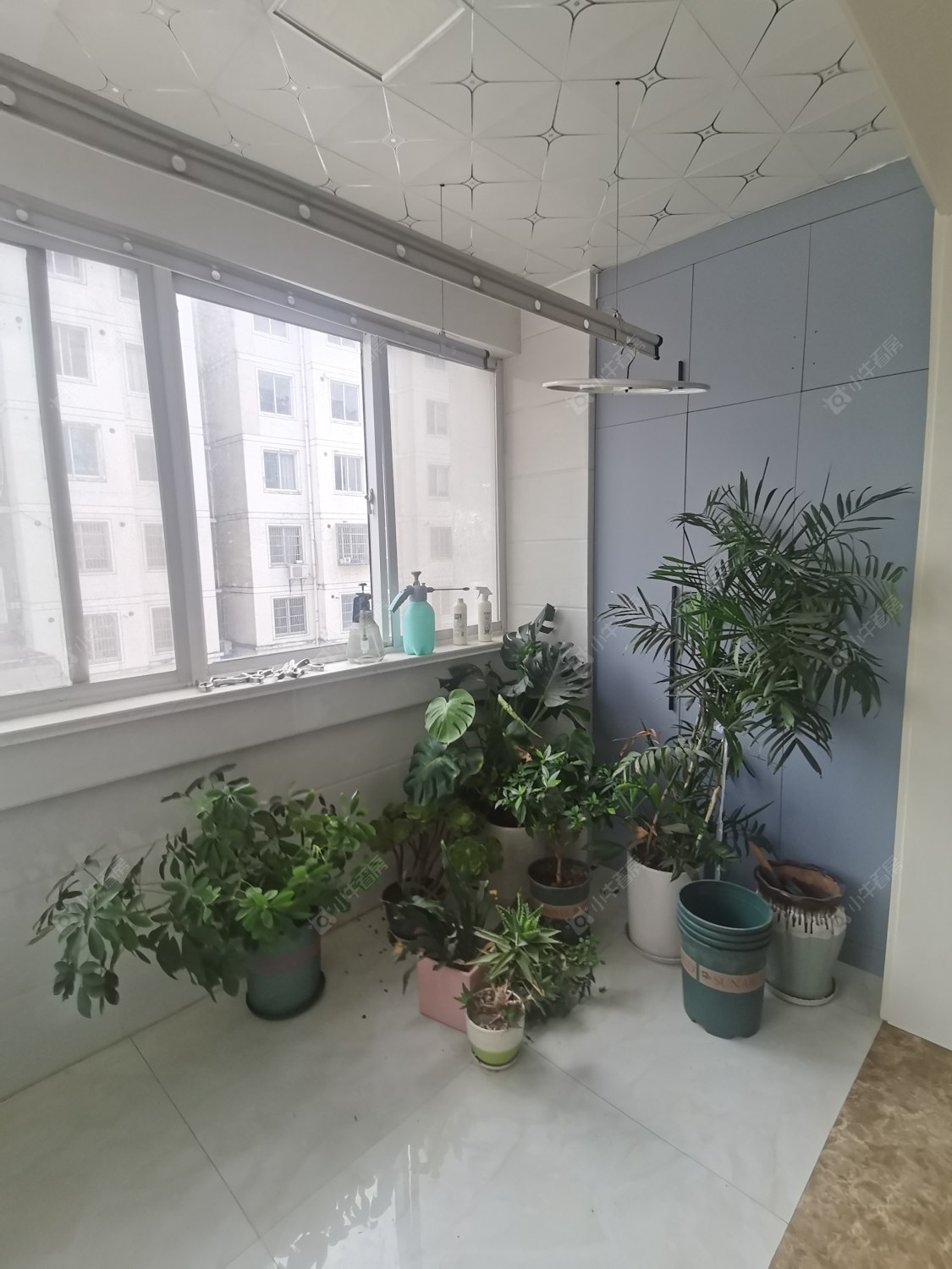 常州新魏花园租房_新魏花园3室2厅房源出租
