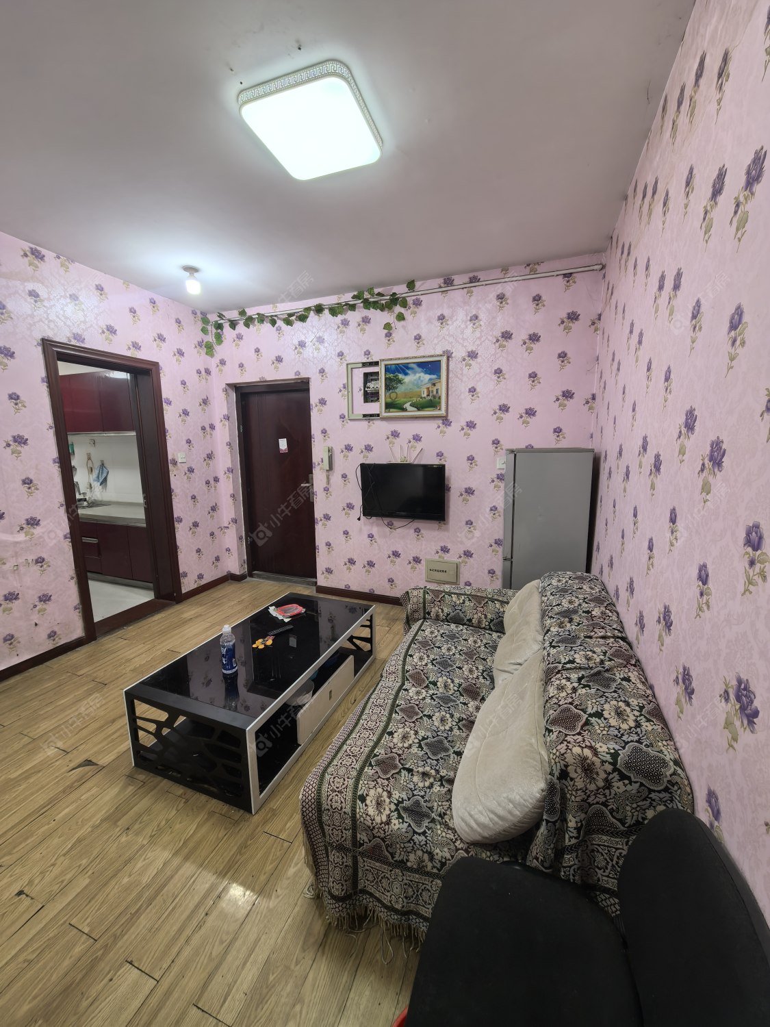 常州锦海星城一期在租房源室内图_小牛看房