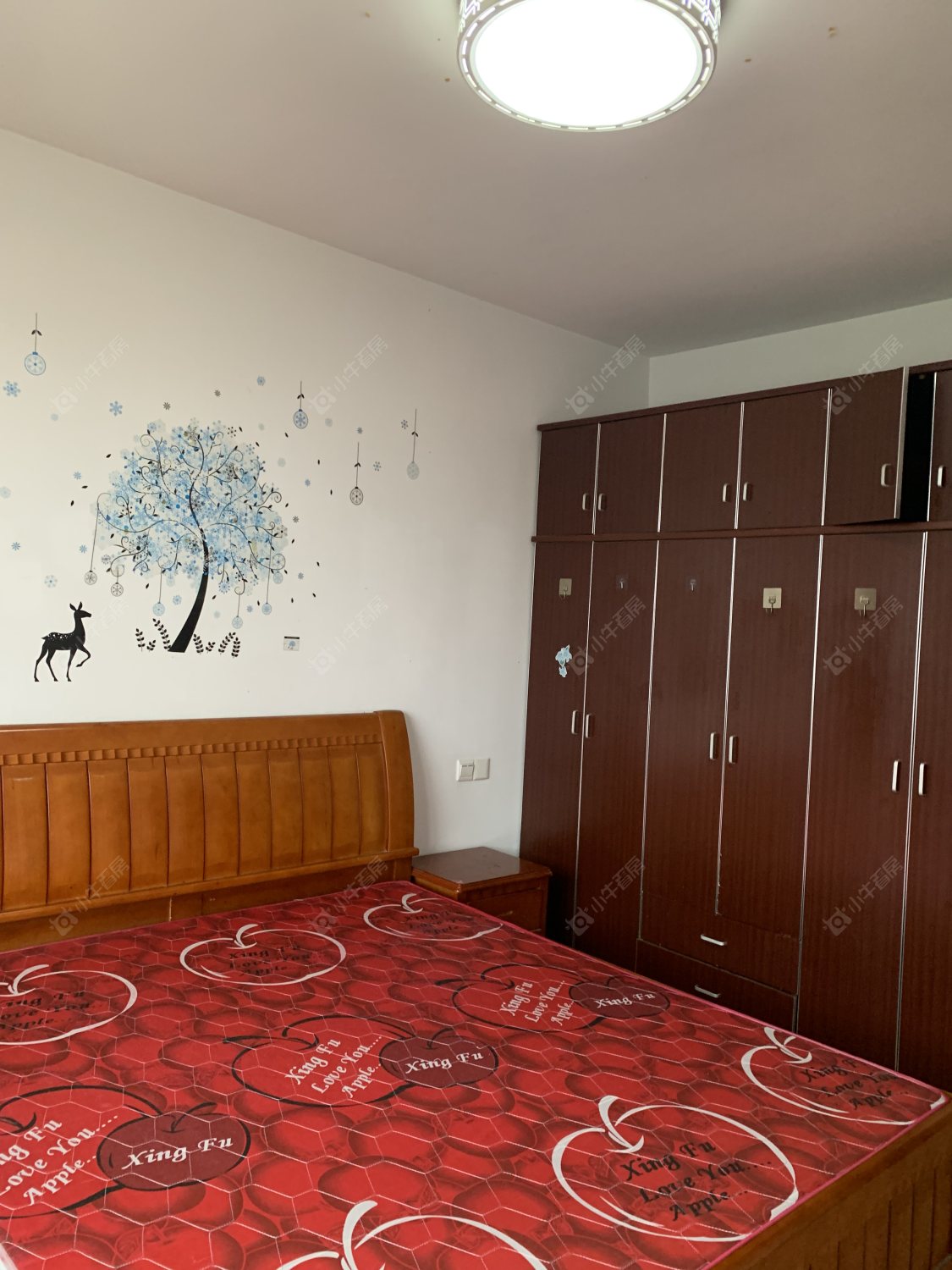 常州和平国际在租房源_小牛看房