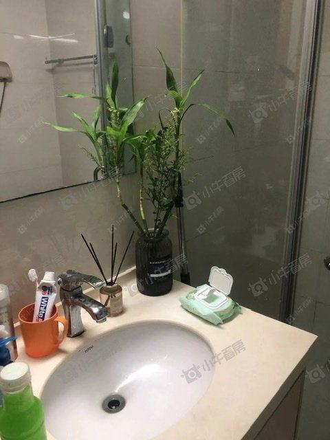 常州莱蒙城铂晶租房_莱蒙城铂晶1室1厅房源出租