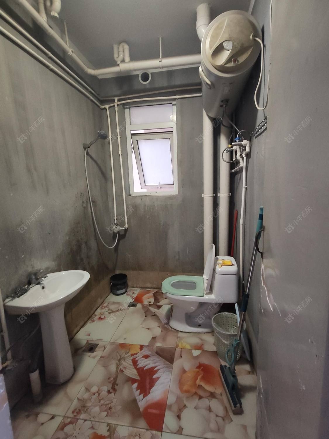 常州新城悠活城在租房源户型图_小牛看房