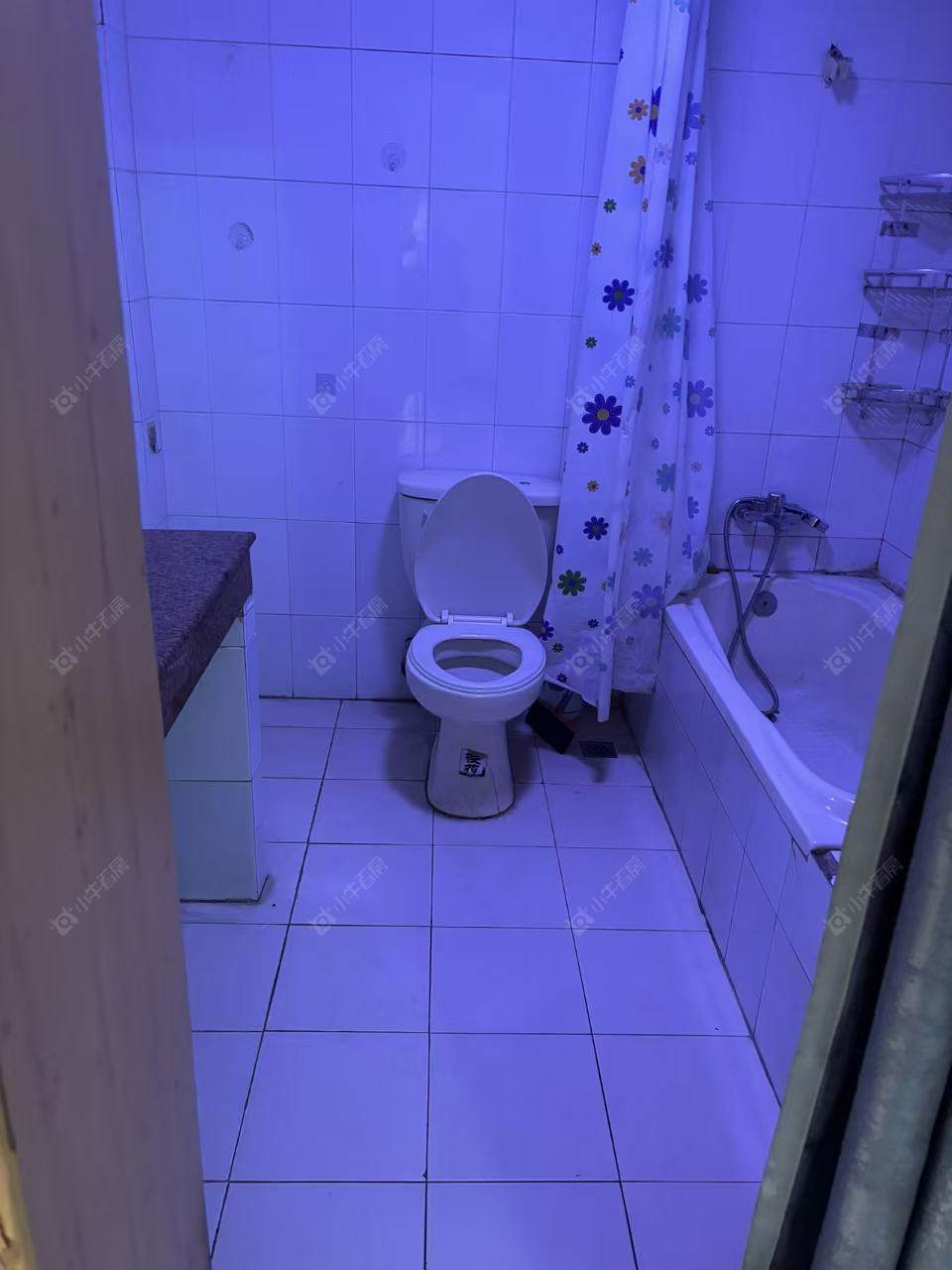 常州金谷花园在租房源室内图_小牛看房