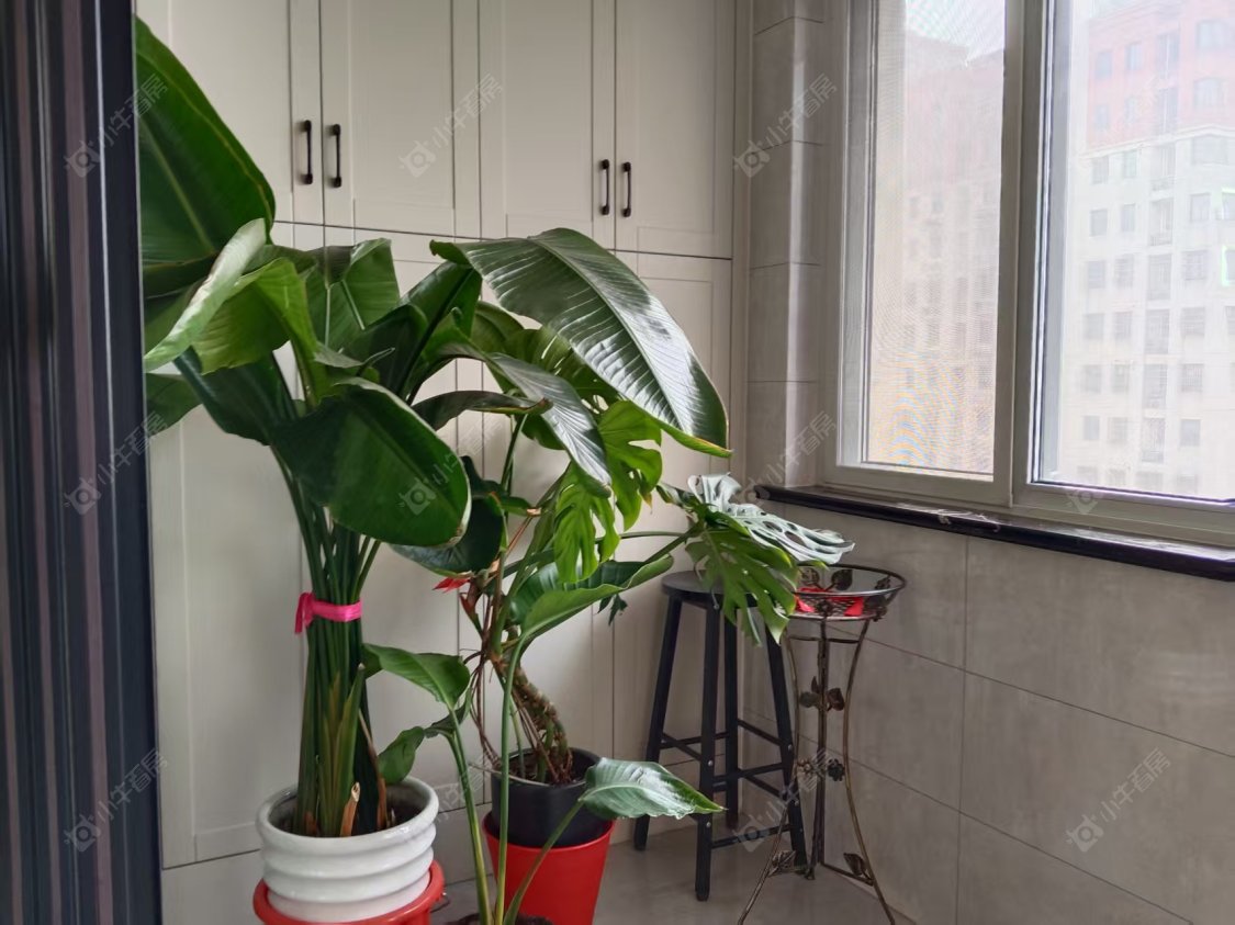 常州空港五村在租房源_小牛看房