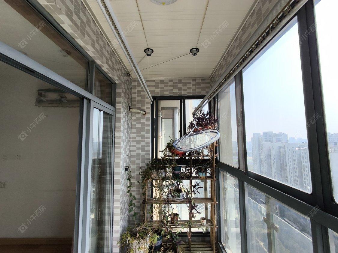 常州滨江明珠城东区租房_滨江明珠城东区3室2厅房源出租