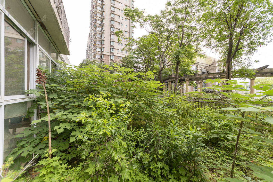 御城房源室内图 常州御城在售二手房源室内图_小牛看房