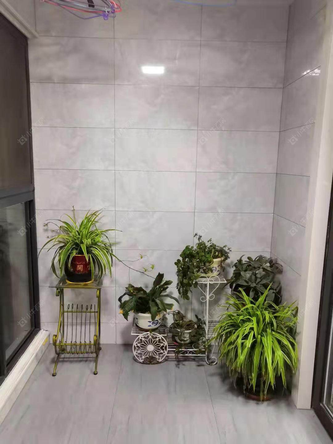 常州丁香苑(钟楼)租房_丁香苑(钟楼)3室2厅房源出租
